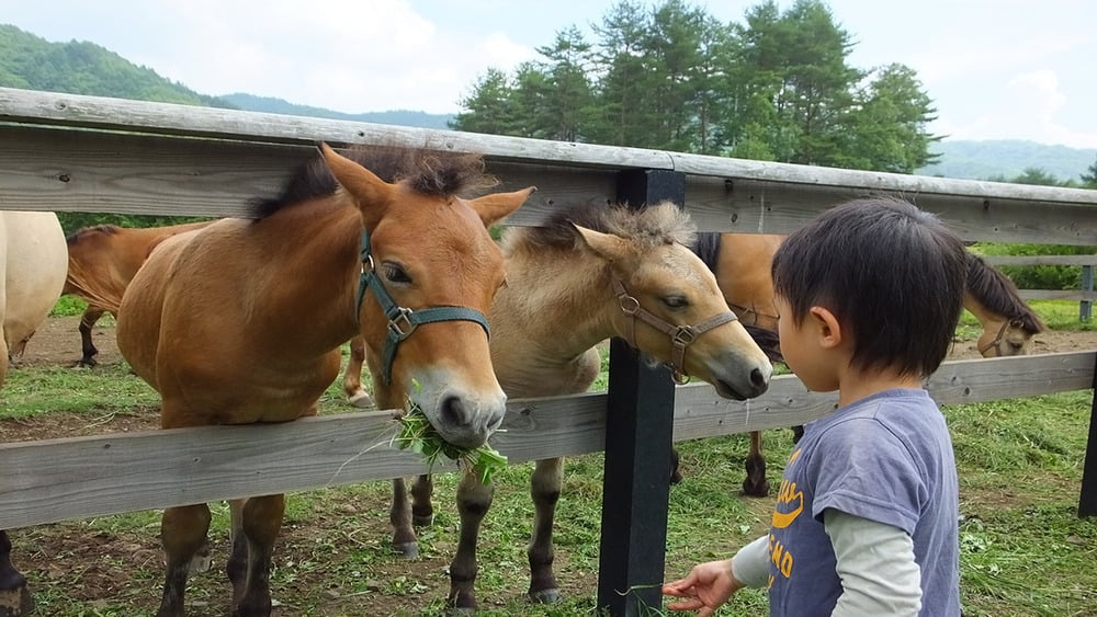 長野市茶臼山動物園