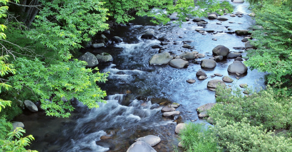 清流長良川あゆパーク