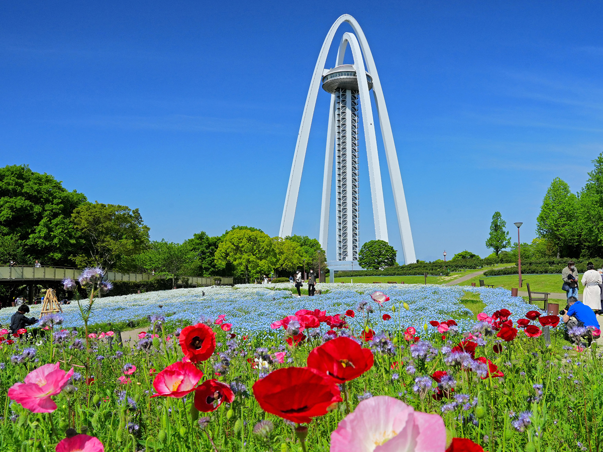 ツインアーチ138