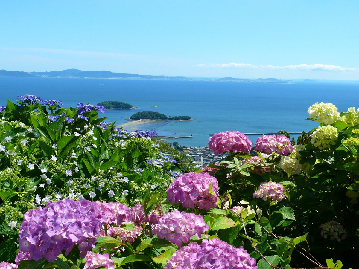 三ヶ根山スカイライン（三河湾側）