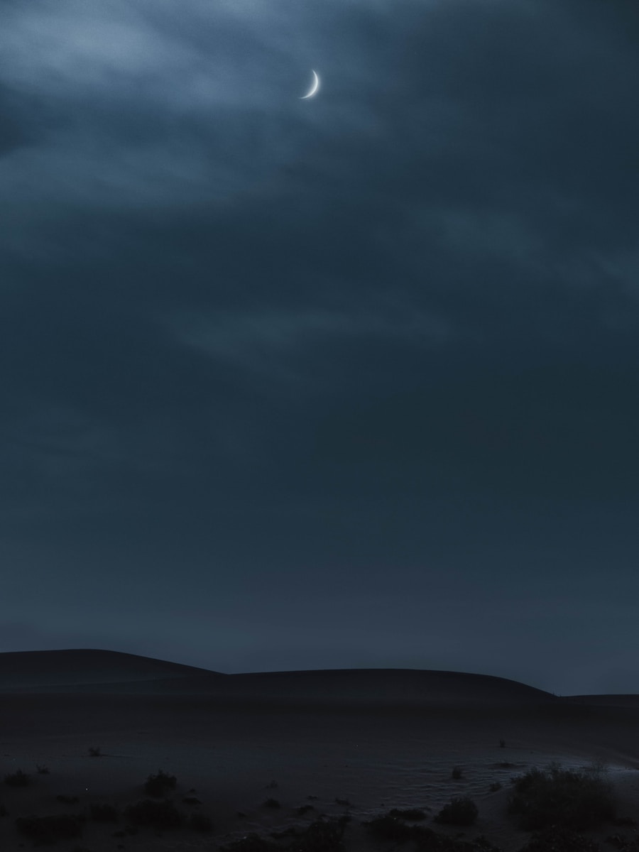 【愛知の深夜ドライブ】絶景夜景スポット完全ガイド！