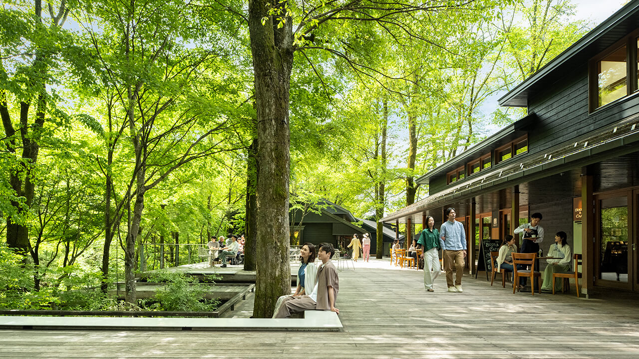 ハルニレテラス