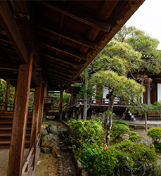 仁和寺御室会館