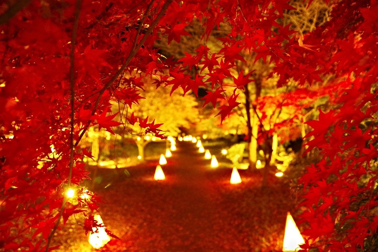 国営武蔵丘陵森林公園