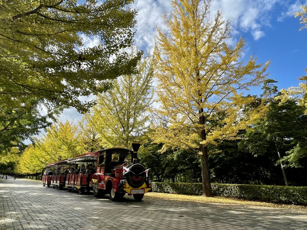 秩父ミューズパーク