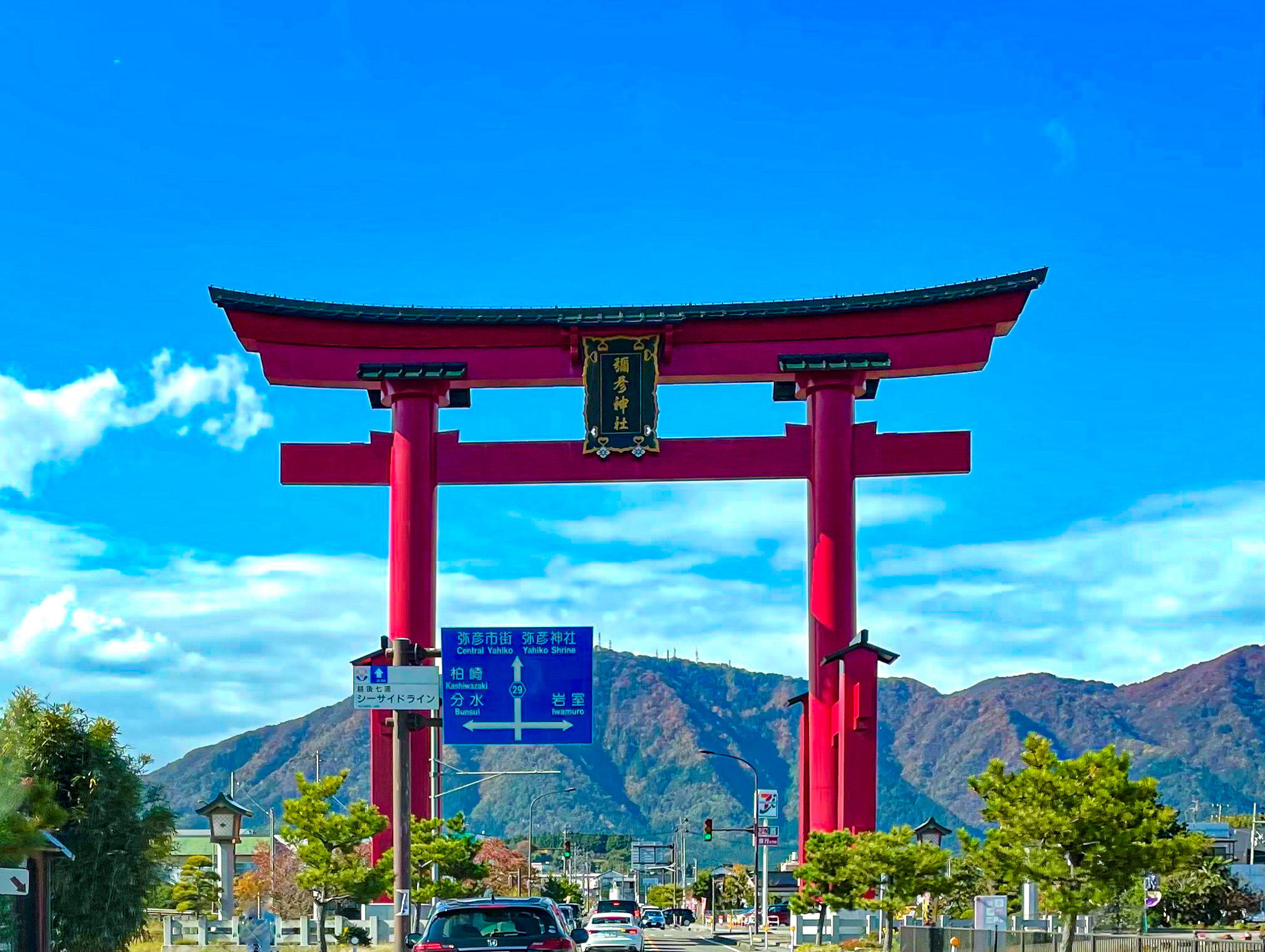 弥彦神社大鳥居