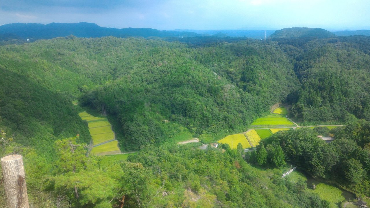 美濃加茂市周辺