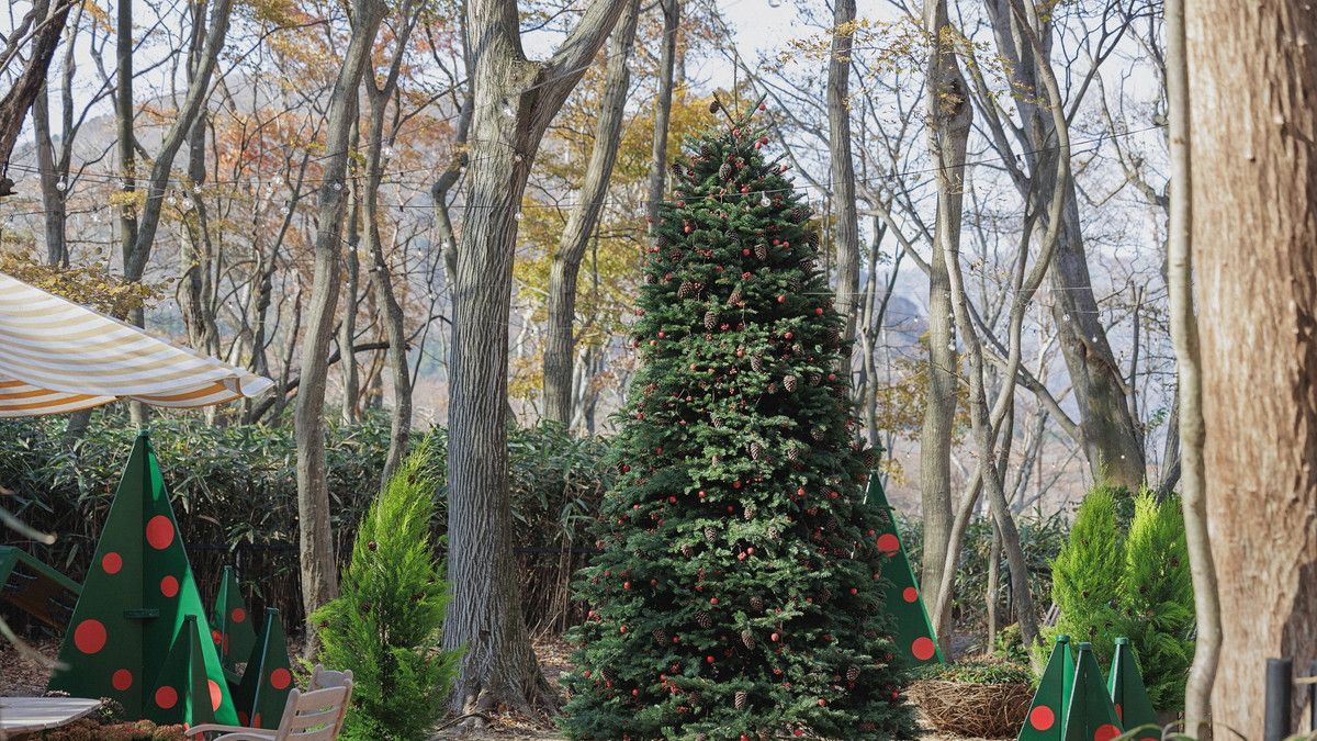 ニコライ バーグマン 箱根 ガーデンズ
