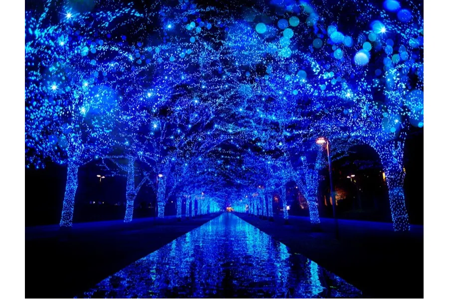 青の洞窟 SHIBUYA