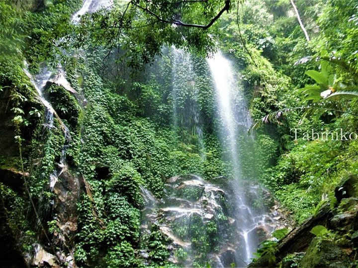 セランゴール森林公園