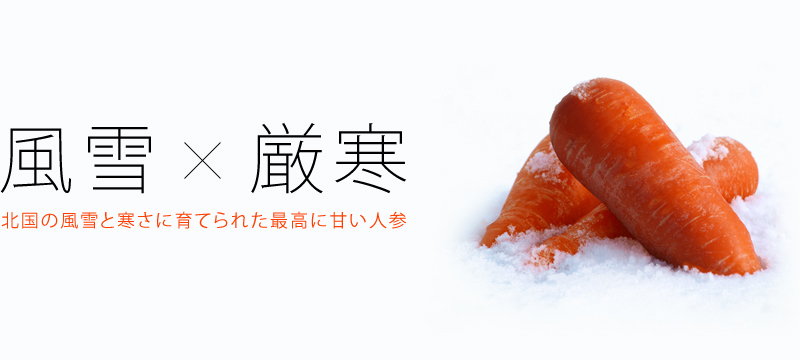 ふかうら雪人参