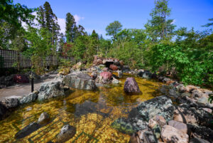 小谷流温泉 森の湯