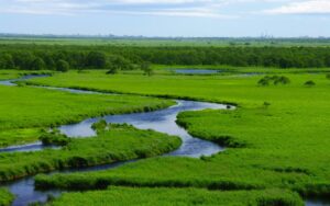 釧路湿原