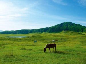 草千里ケ浜