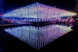 あしかがフラワーパーク