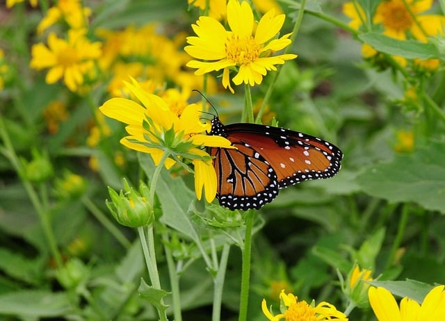 【最新レポ】名探偵コナンカフェ大阪！劇場版の世界観と限定絶品グルメが必見