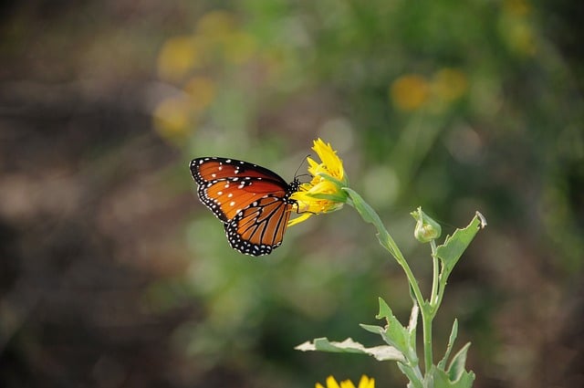 【完全攻略】謎だらけの南極大陸からの脱出(大阪)で味わう極限の没入体験は必見！