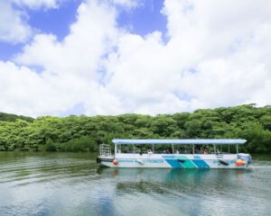 仲間川