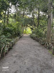 明治神宮