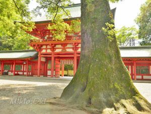 武蔵一宮 氷川神社