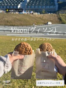 VISON