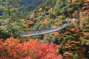 五家荘