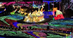 東京ドイツ村