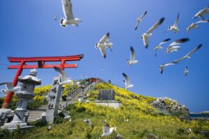 蕪島