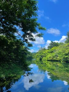 雲場池