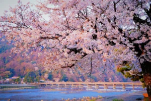 嵐山・渡月橋