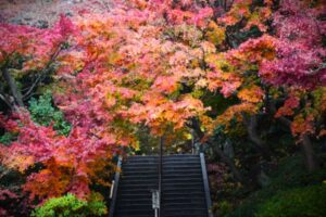 長谷寺