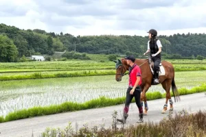 千葉ライディングパーク