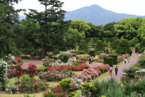 京都府立植物園