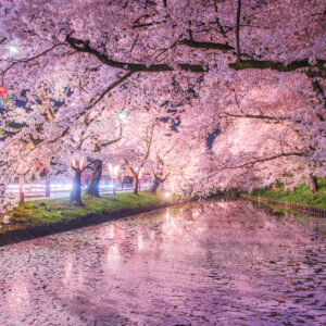 弘前公園