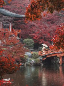 醍醐寺