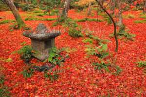 祇王寺