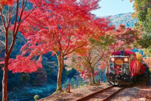嵯峨野トロッコ列車